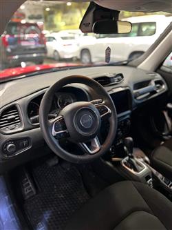 جيب رينيجيد